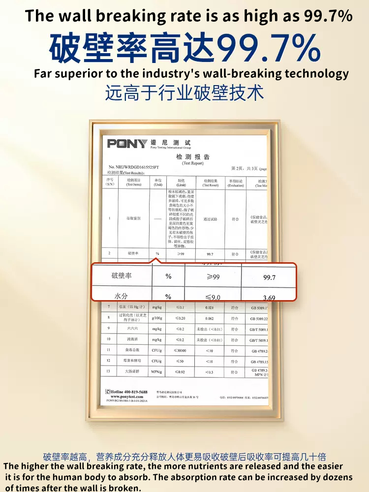 Broken wall Ganoderma lucidum spore powder