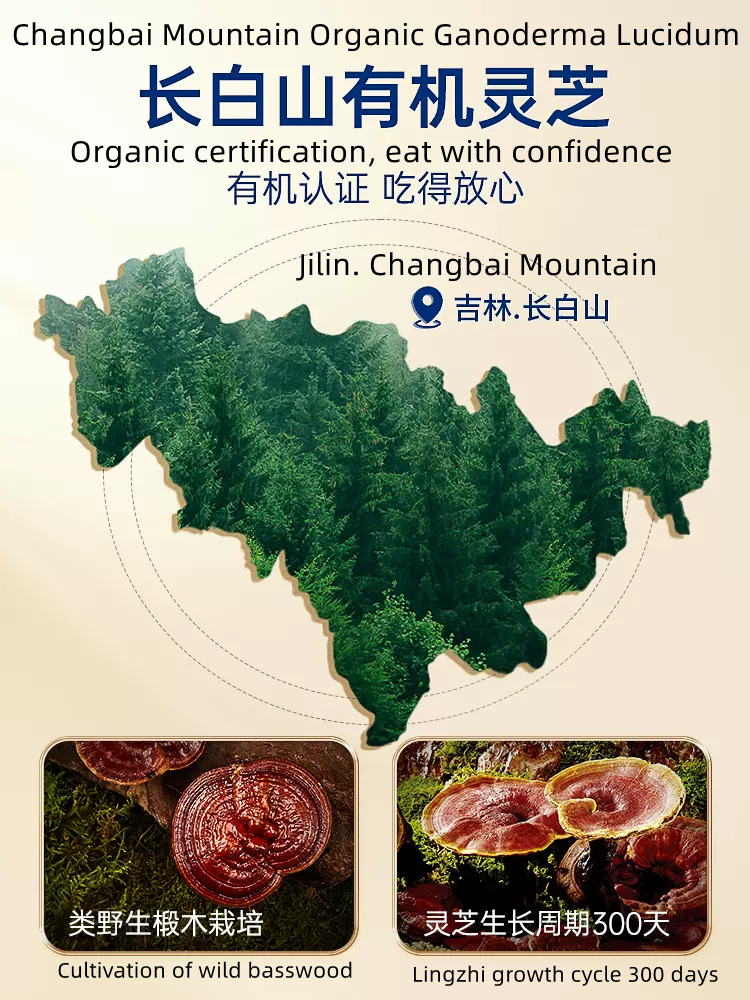 Broken wall Ganoderma lucidum spore powder