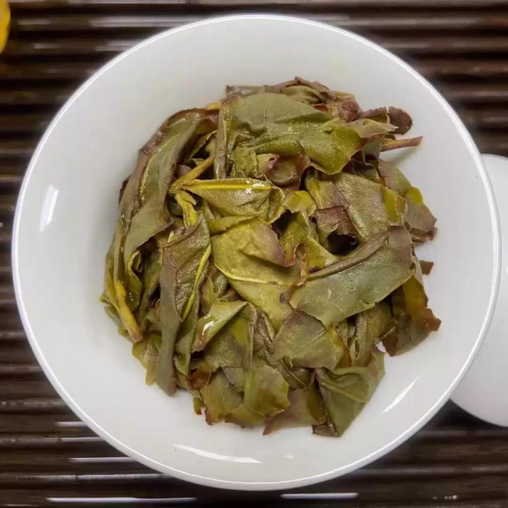 Zhangping Narcissus Premium