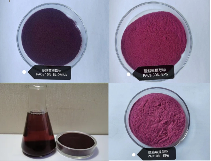 Cranberry extract powder ingredient display for formulation review