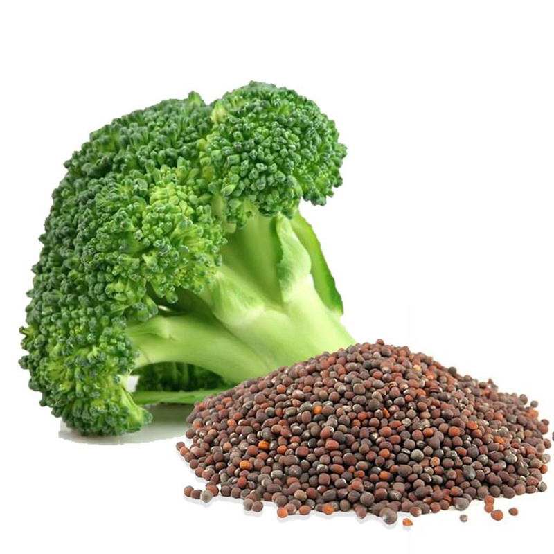 Broccoli Seed Extract