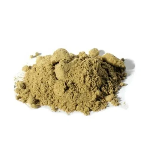 Ginkgo Biloba Extract EP