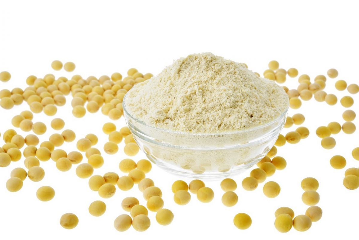 Soy extract