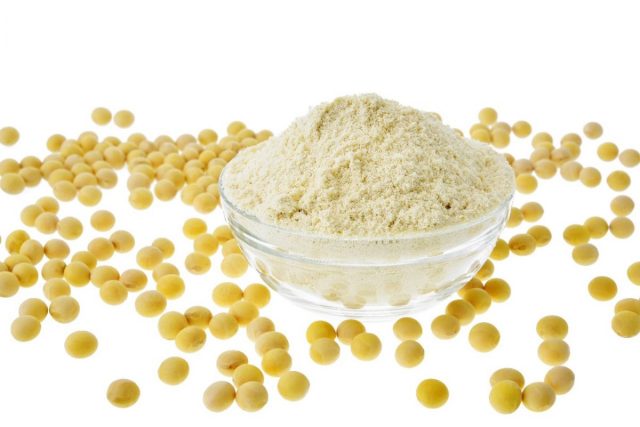 Soy extract