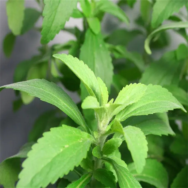 Stevia extract