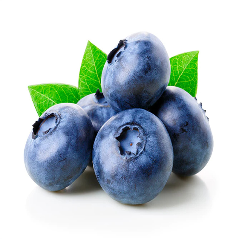 Blueberry fruit powder