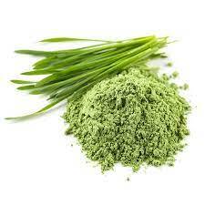:Wheat Grass Juice Powder