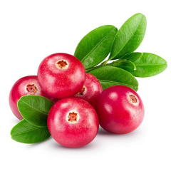 Cranberry fruit powder
