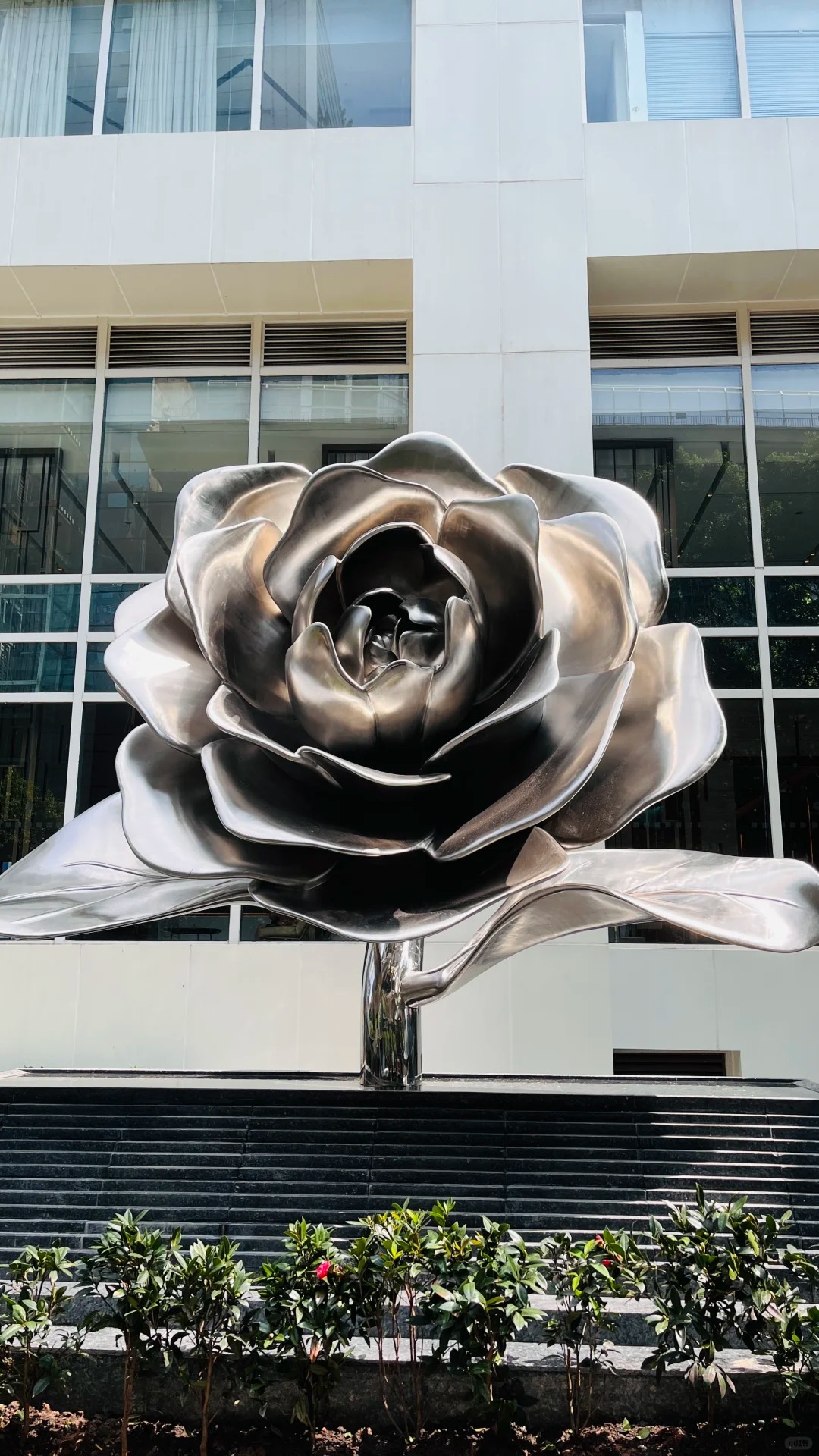 Large Stainless Steel Camellia Flower Sculpture