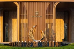 Residential Stainless Steel Abstract Peacock Sculpture