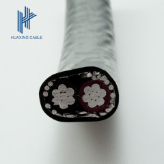 Concentric/Coaxial Aluminum Cable 2*10+10mm2 Aluminum Alloy wire Shield(2AAC+1AAAC)