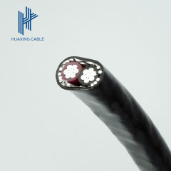 Concentric/Coaxial Aluminum Cable 2*10+10mm2 Aluminum Alloy wire Shield(2AAC+1AAAC)