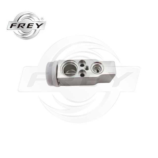 FREY Mercedes Benz 1648300084 Auto AC and Electricity Parts Expansion Valve