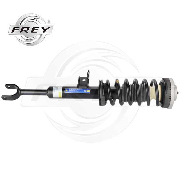 FREY BMW 31316854579 Chassis Parts Shock Absorber Assembly