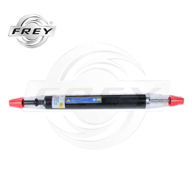 FREY BMW 33526772926 Chassis Parts Rear Shock Absorber