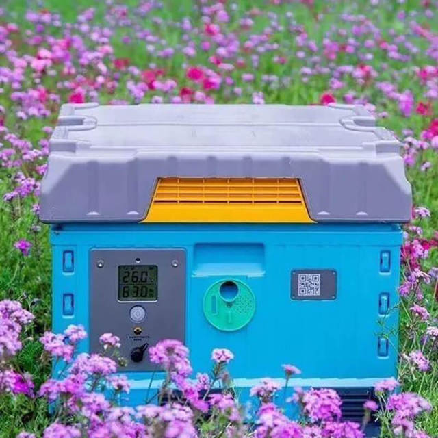 AioT Smart Beekeeping Box