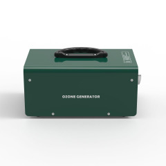 10G 20G 40G Ozone Air Purifier For Odor Removal Sterilization