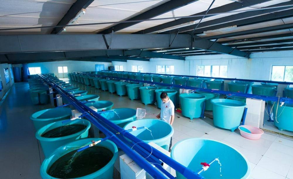 Application of Ozone Generator in Aquaculture