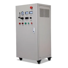 50-200g/h External Air Source Ozone Machine