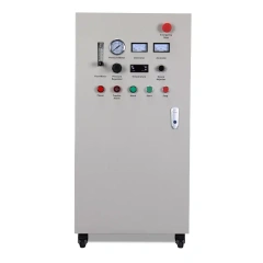 50-200g/h External Air Source Ozone Machine