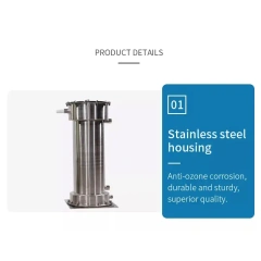 100-600g/h Ozone System Generators