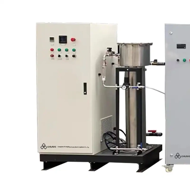 100-600g/h Ozone System Generators