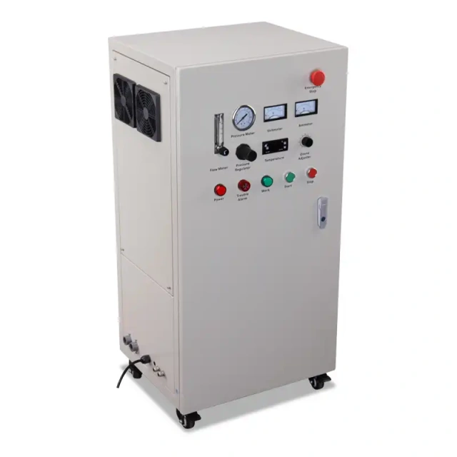 50-200g/h External Air Source Ozone Machine