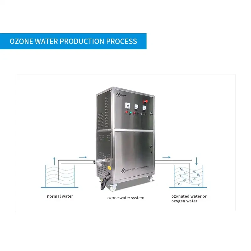 CH-WCA Ozone Water Machine