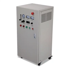 50-200g/h External Air Source Ozone Machine