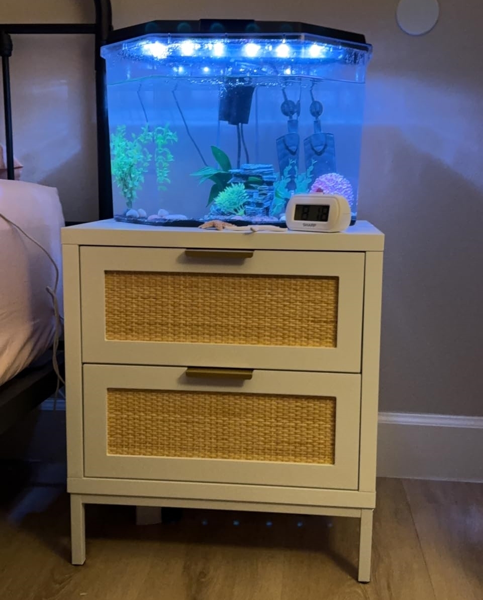 Anmytek Rattan Nightstand 21.5" H Side Table with 2 Drawers