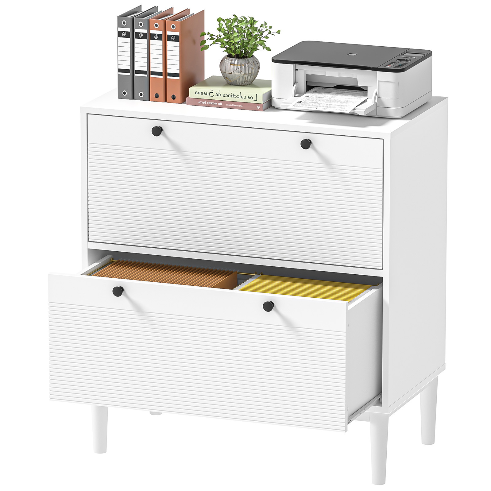 Anmytek Lateral File Cabinet with 2 Drawers, Filing Cabinet with Adjustable Hanging Bar for Letter