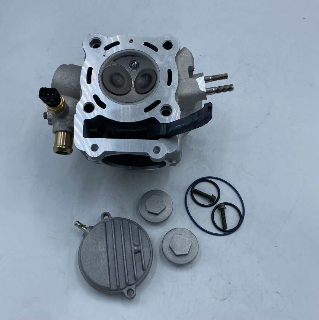 New Cylinder Head Assy Fits Hisun 250cc Strike HS250 UTV Massimo P01300012200000
