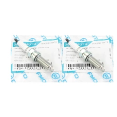 Spark Plug X2