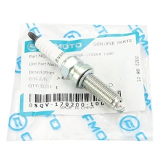 Spark Plug