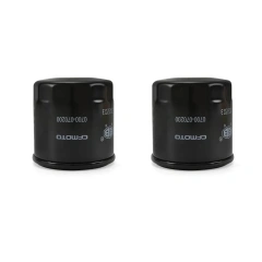 Oil Filter X2