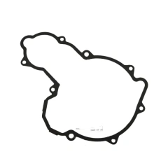 Magneticmotor gasket