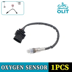 Oxygen Sensor