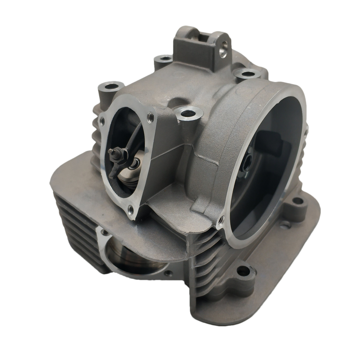 New Cylinder For Yamaha Timberwolf 250 Jianshe JS250 YFB250 Cylinder Head And Valve Assembly ATV UTV
