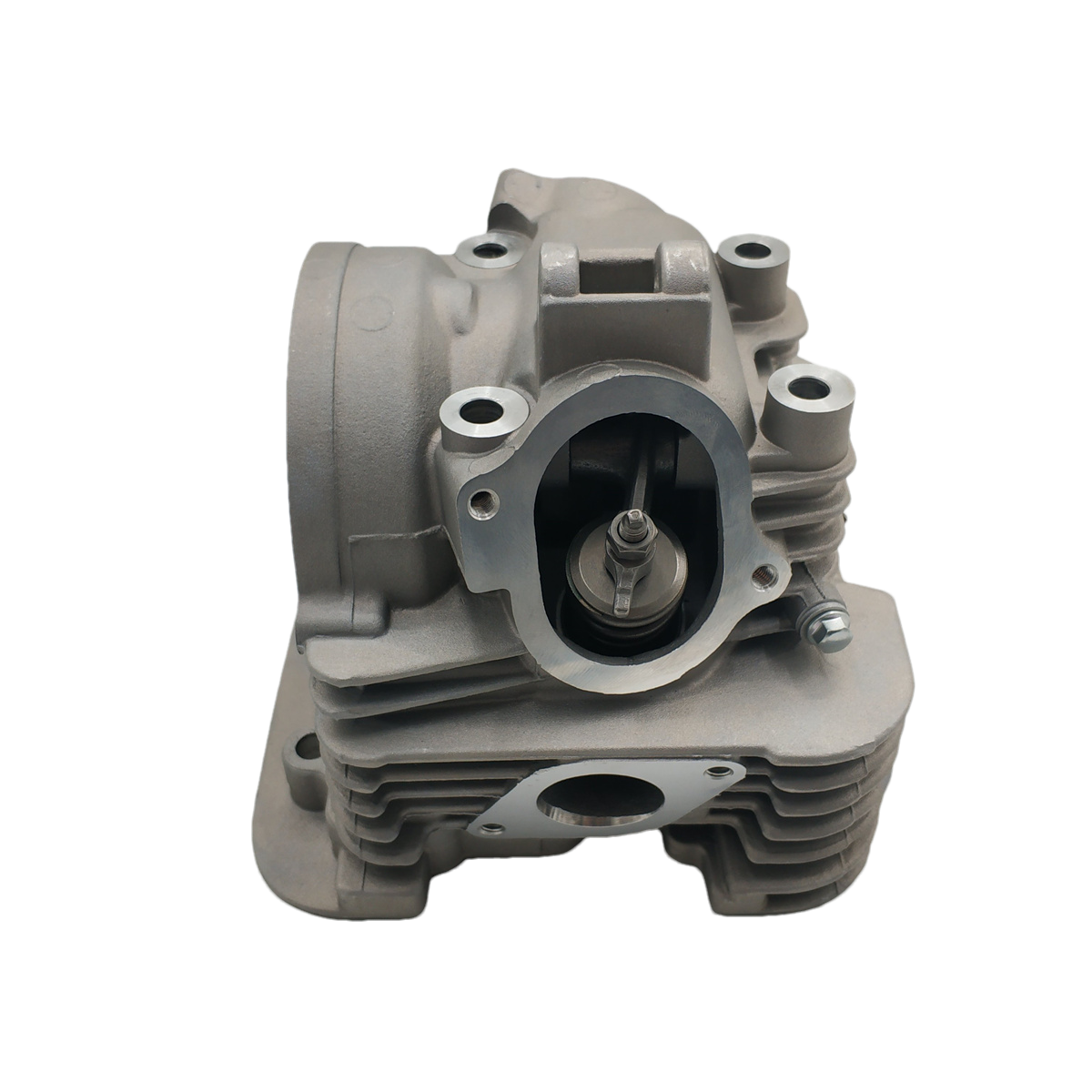 New Cylinder For Yamaha Timberwolf 250 Jianshe JS250 YFB250 Cylinder Head And Valve Assembly ATV UTV