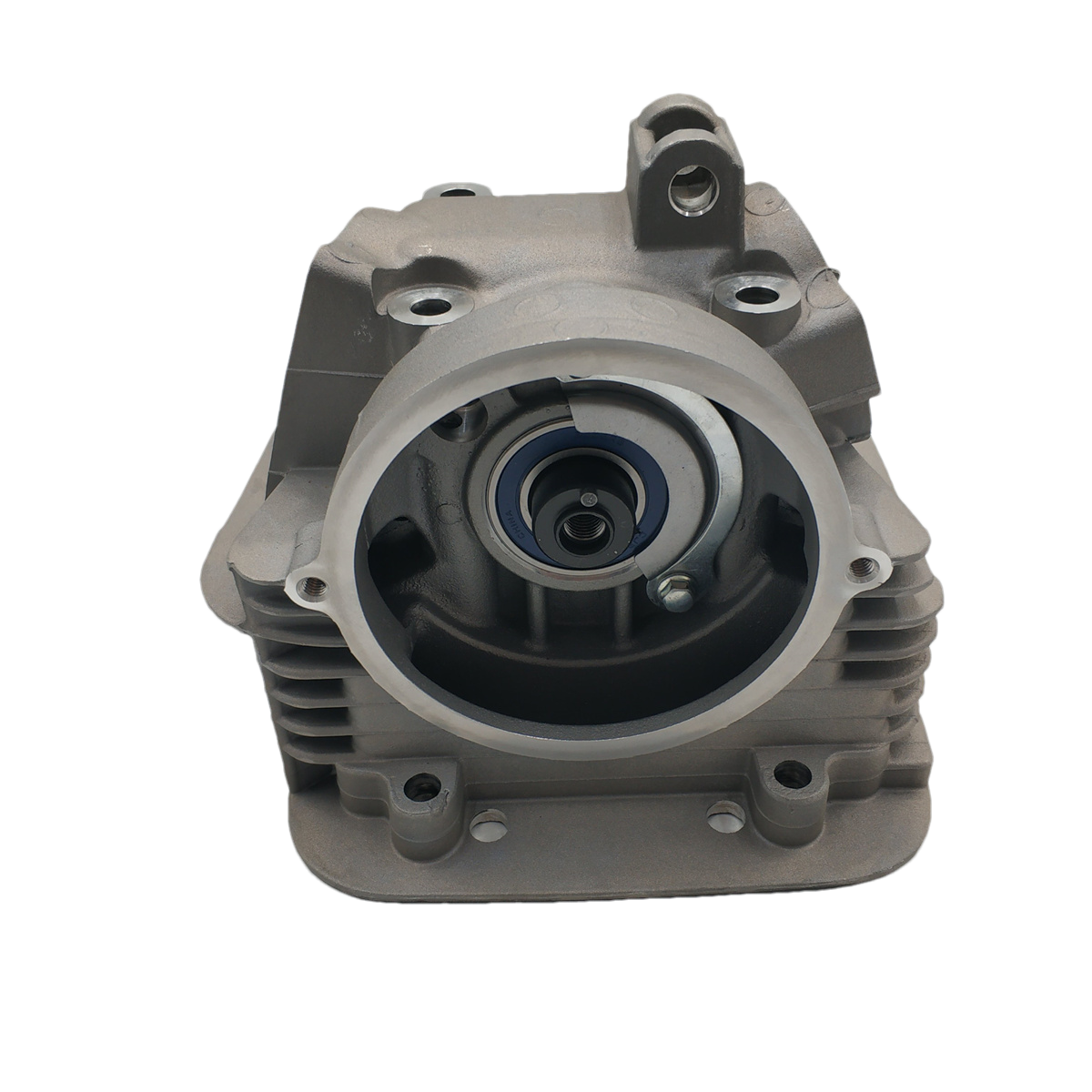 New Cylinder For Yamaha Timberwolf 250 Jianshe JS250 YFB250 Cylinder Head And Valve Assembly ATV UTV