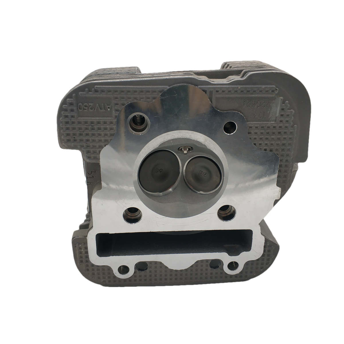 New Cylinder For Yamaha Timberwolf 250 Jianshe JS250 YFB250 Cylinder Head And Valve Assembly ATV UTV