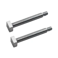 1pair Screws