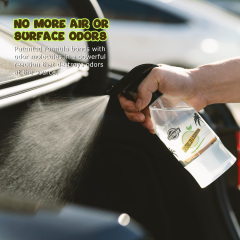 Car Sterilizer & Deodorizer