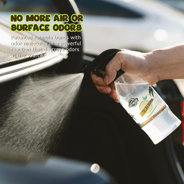 Car Sterilizer & Deodorizer