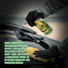 Engine Cleaner