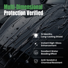 Borophene Ceramic Spray Coating