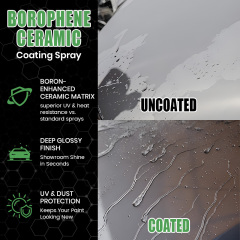 Borophene Ceramic Spray Coating