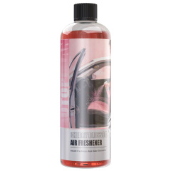 Car Sterilizer & Deodorizer