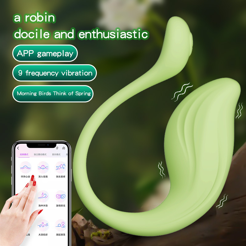 Wearable Panty Mini G Spot Bullet Vibrator with APP Remote Control and 10 Vibration Modes, Rose Anal Dildo Vibrators for Clitoral Vagina Stimulator, Adult Sex Toys for Women Couples Pleasure