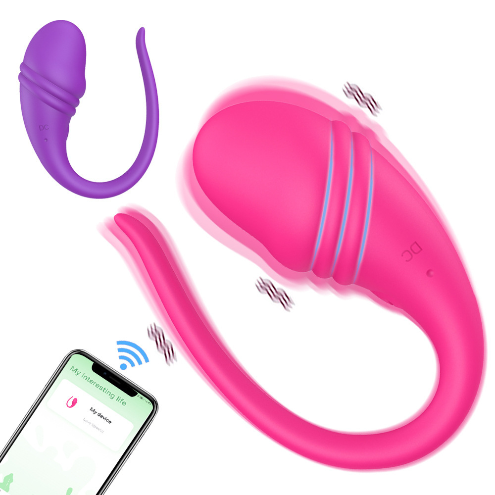 Vagina Egg Vibrator Sex Toys - APP Wireless Bluetooth Remote Control Female Pantie Wearable G-spot Clits Silicone Bullet Vibrator Sex Stimulator with 10 Modes